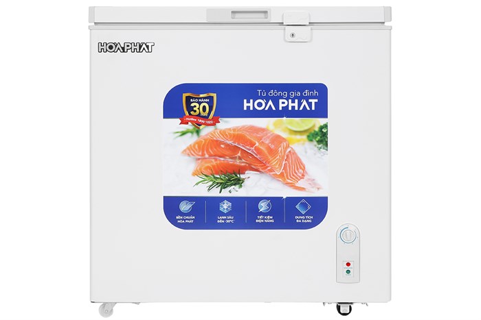 Tủ đông Hòa Phát HPF AD6162 162 lít