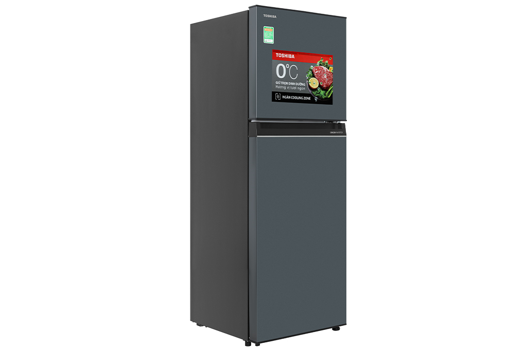 Tủ lạnh Toshiba Inverter 233 lít GR-RT303WE-PMV(52) thumbnail