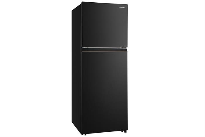 Tủ lạnh Toshiba Inverter 240 lít GR-RT310WE-PMV(68) model 2026 thumbnail