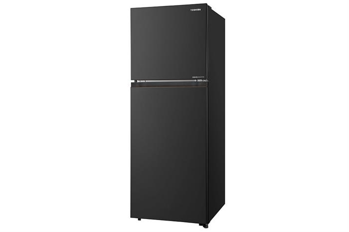 Tủ lạnh Toshiba Inverter 240 lít GR-RT310WE-PMV(68) model 2026 thumbnail