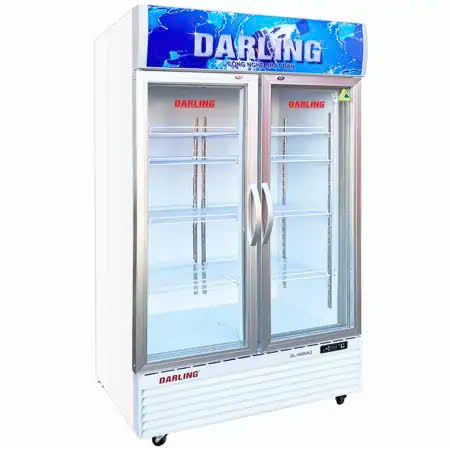 Tủ mát Darling DL-9000A2 – 830 lít thumbnail